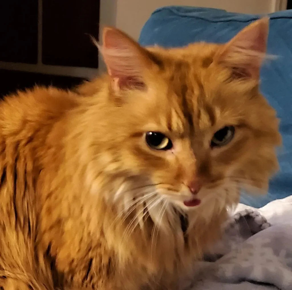 One of our team pet supervisors, name in caption