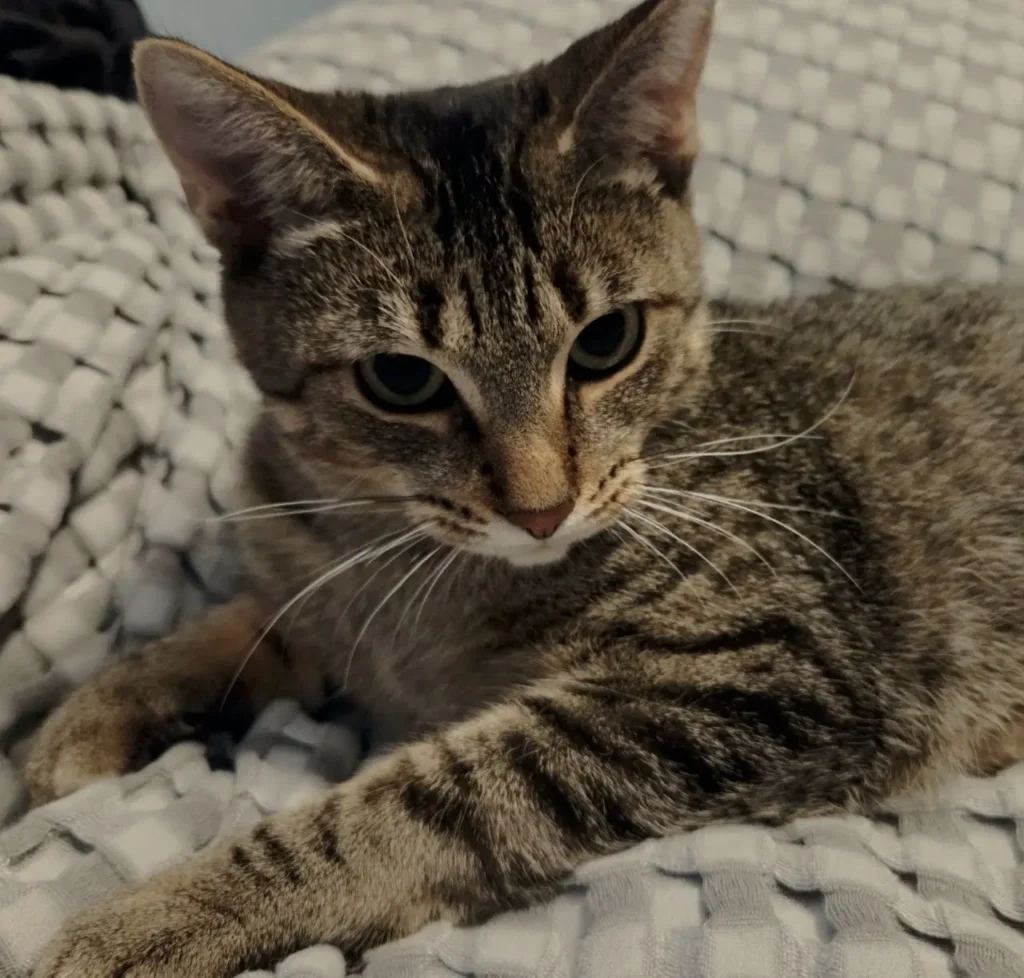 One of our team pet supervisors, name in caption