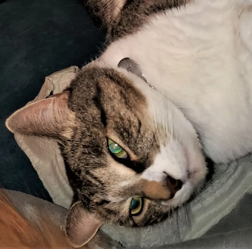 One of our team pet supervisors, name in caption