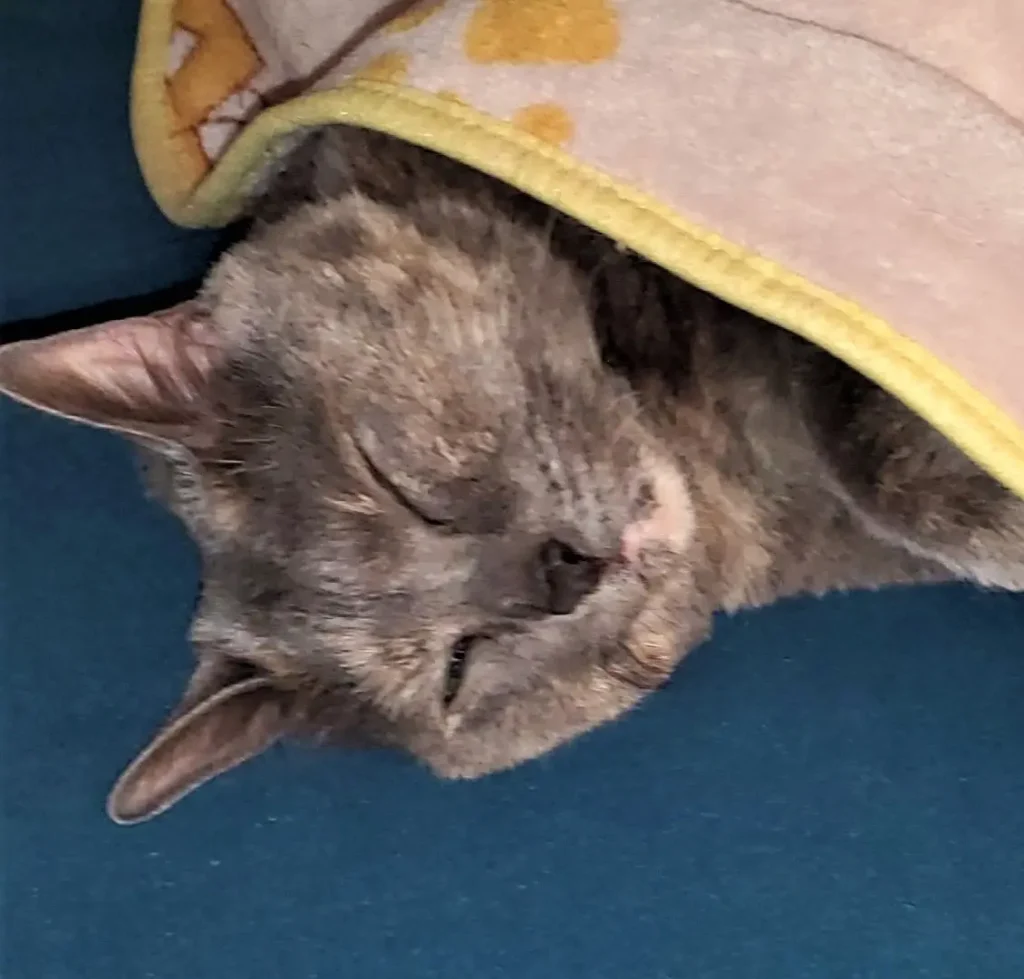 One of our team pet supervisors, name in caption