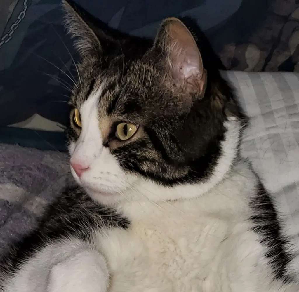 One of our team pet supervisors, name in caption