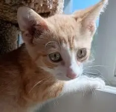 One of our team pet supervisors, name in caption