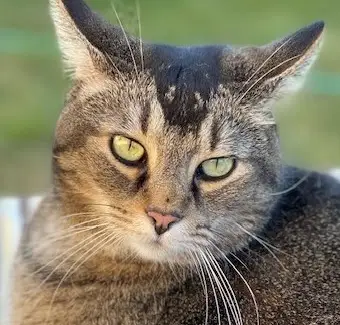 One of our team pet supervisors, name in caption